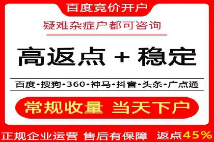搜索引擎营销（SEM）的投放策略与效果评估——以某行业领先企业的案例分析
